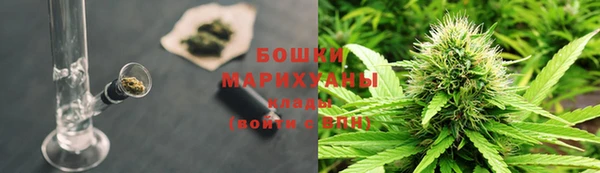 СК Медвежьегорск