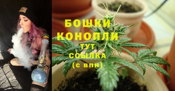 мдпв Медногорск