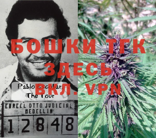 СК Медвежьегорск