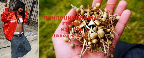 СК Медвежьегорск