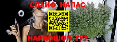 шишки Конаково