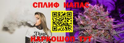 шишки Конаково
