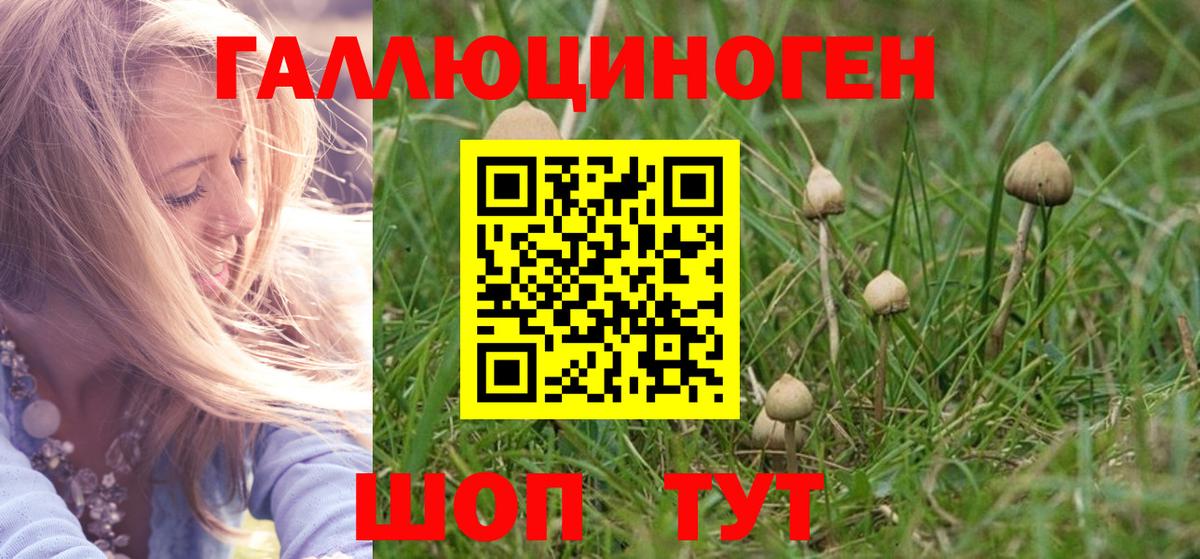 Псилоцибиновые грибы прущие грибы Майский