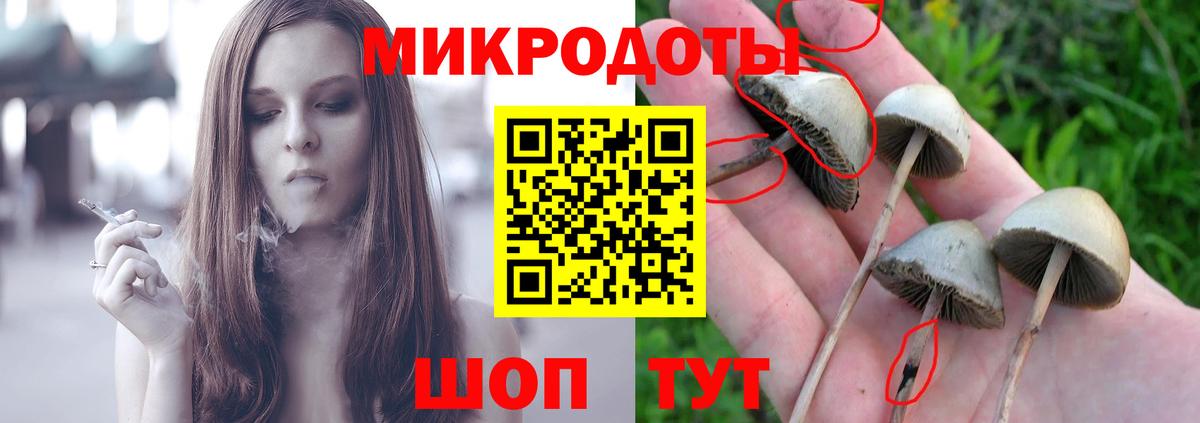 Псилоцибиновые грибы MAGIC MUSHROOMS  Вход с VPN  Майский 